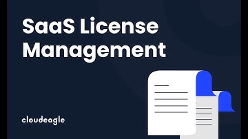 Mastering SaaS License Management: Types, Risks, & Best Practicesg