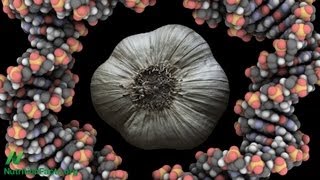 Cancer, Interrupted: Garlic & Flavonoids