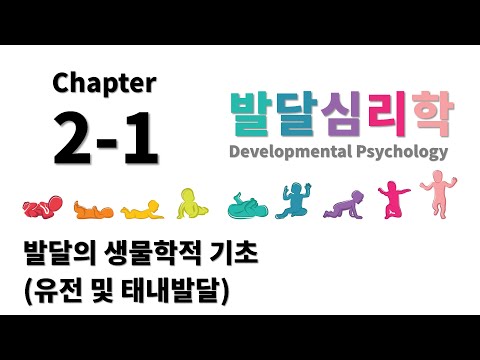 [발달심리학] Chapter 2-1.  발달의 생물학적 기초(유전 및 태내발달)