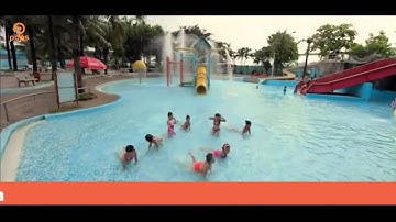 bameolove - Chuồn Chuồn Cắn Rốn   Bảo Châu Official