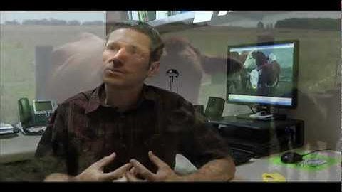 Farms.com- Two stage weaning