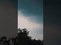 Stormy Skies &amp; Restless Wings 🪿 #cinematicshorts #nature #colorgrading | Cinematic Nature