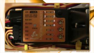 Microbeast Versionsanzeige interpretieren