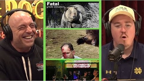 Joe Rogan & Shane Gillis - Wild Bear ATTACKS and the Haunted Comedy Club