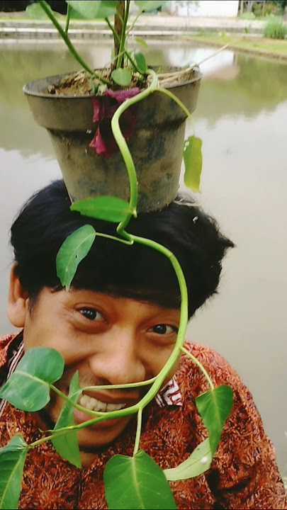 Salah sambung 😂 #hiburanlucu #hiburanrakya #hiburan #pantunsunda #videolucu #viral