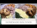 How to make homemade dog food