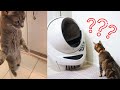 Cat confused with self-cleaning litter box