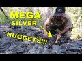 Our Best Silver Nugget Day! | Aquachigger