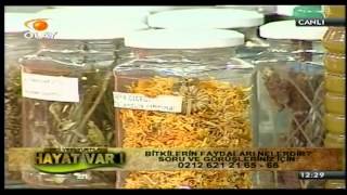 Aliç, Ginseng, Panax, Kalp Damar Rahatsızlıkları, Aritmi, Kalp Spazmı, Koronar Kalp Yetmezliği