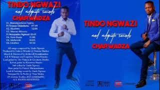 Tindo Ngwazi - Vane Rudo