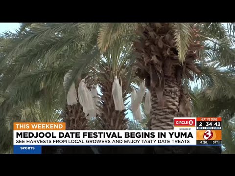 Farmers Getting Ready For Yuma S Famous Medjool Date Festival 
