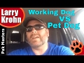 Working Dog Training vs Pet Dog Training / WHY YOU NEED BOTH Working Dog Training vs Pet Dog Training / WHY YOU NEED BOTH