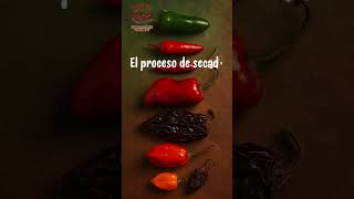 Introducción A Los Chiles Frescos Y Secos