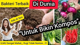 🔴 Bakteri Jamur Kompos dan POC Terbaik di Dunia‼️Mikroorganisme Pupuk Organik Tidak Ada Tandingannya