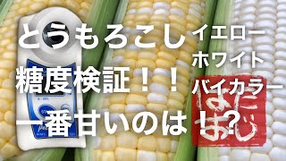 ハダオジ ＃25 糖度計でとうもろこしの甘さチェック！３種のとうもろこしを測定比較！