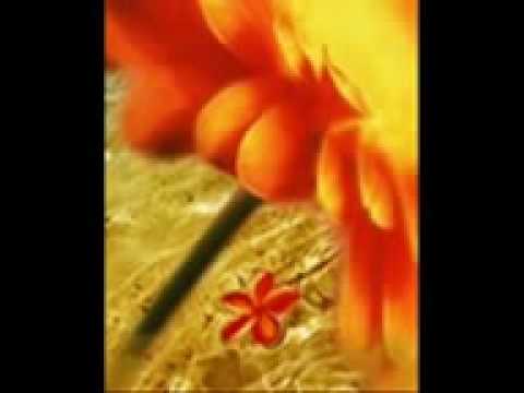 Jessica Graham's First Video