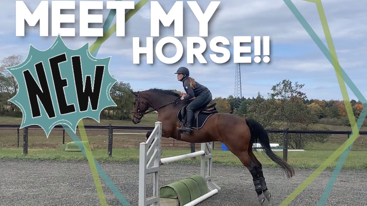MEET MY NEW HORSE!! Groom, Tack & Ride • Another Day in the Life of