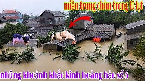 Miền trung ngập chìm trong biển nước bảo số năm và những trận lũ kinh điển nhấn chìm tài sản 