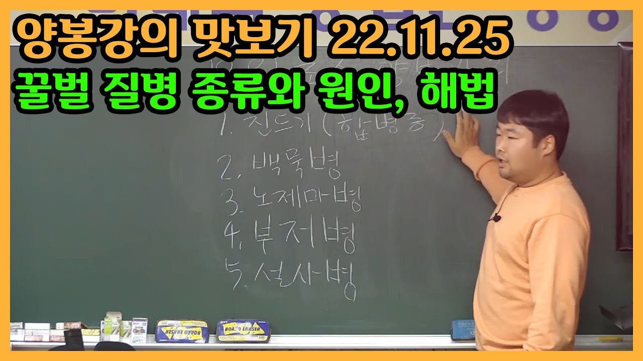 22.11.25 정기강의 맛보기: 꿀벌 질병의 종류와 원인 및 해법