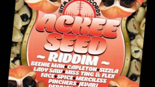 Dancehall Mix 2012 Aidonia, Beenie Man & More