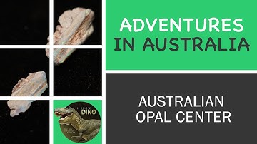 Dinosaur Adventures in Australia: Australian Opal Centre, Lightning Ridge