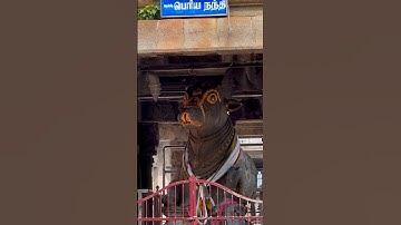 கால் மாற்றி அமர்ந்துள்ள #திருஅண்ணாமலை பெரிய நந்தி #பிரதோஷம் #pradosham  #thiruvannamalai nandhi