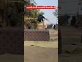 #bihar #homegard #high #jump ka #trending #viral #shorts #video