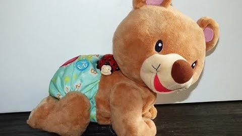 VTech Explore and Crawl Learning Cub,bear