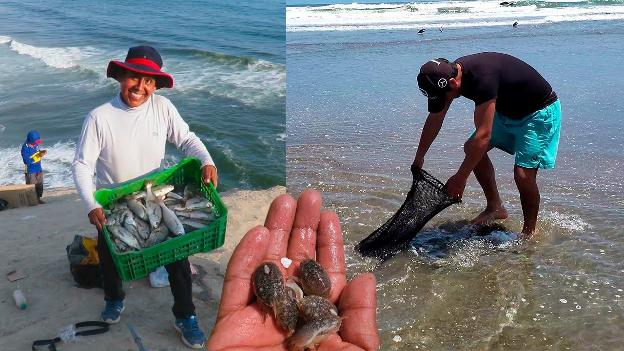 Gran PESCA CON LA CARNADA que enloquece a los peces del Mar - cebo de ...