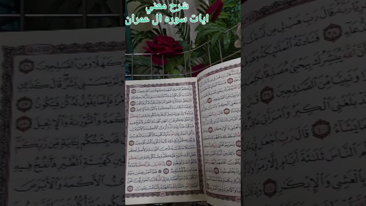شرح معني ايات سوره ال عمران من الايه ٤٦ للايه ٥٢ 