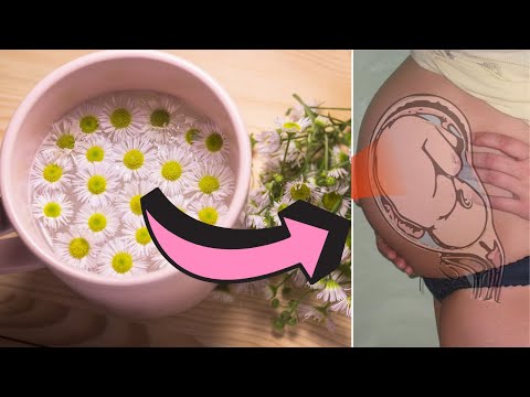 वीडियो: क्या आप गर्भावस्था के दौरान कैमोमाइल पी सकते हैं?
