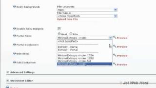 Celebrity How to customize your DotNetNuke appearance changing skins Wealth