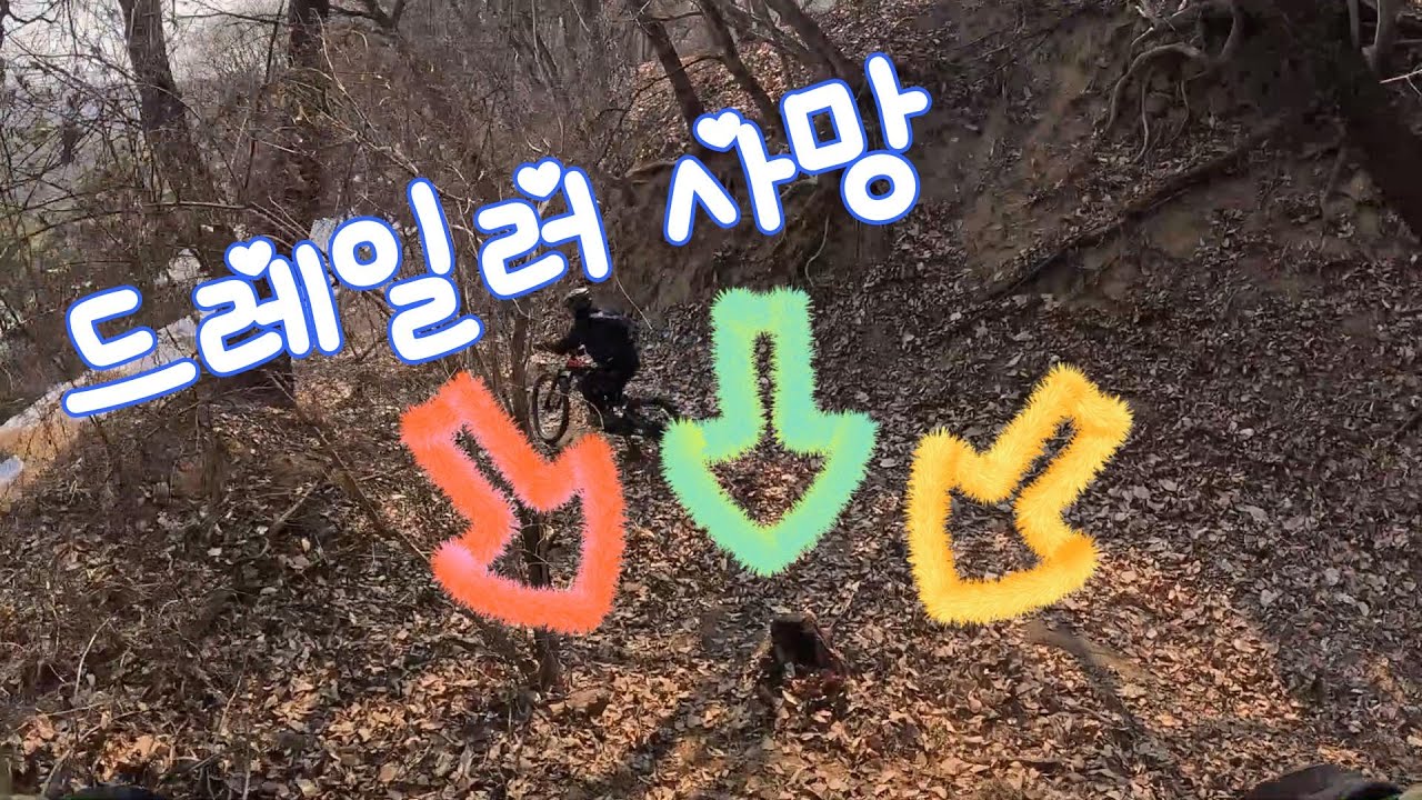 수리산 드레일러 사망