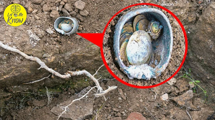 A Secret Cache Of Crusader Era Coins Has Been Foun...