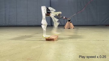 Encoding mechanical intelligence using ultra-programmable joints S2