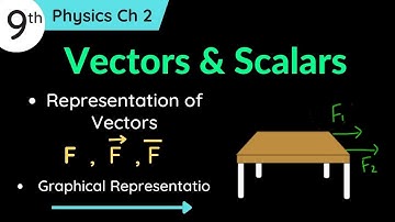 Vector and Scalar Quantities Class 9 Physics Chapter 2 | difference between vector and scalar