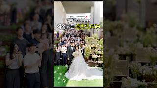 신부가 고른 결혼식 BGM 🎵 혼주, 신랑입장, 행진까지