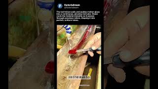 The Right Way to Shape Molten Glass #worker #process #glassblowing #craftsmanship #factory