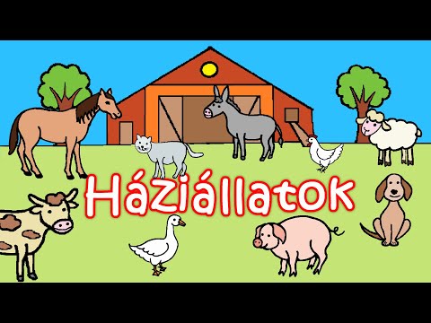 Videó: Tanuljunk a szakszervezetekről