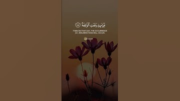 #صوت_جميل_رائع #قران_كريم #راحة_نفسية #المصحف #quranreaction #سورة_الحاقة