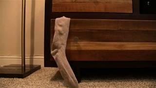 At the Sock Hop (stop motion)