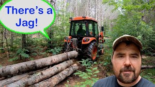 How to Rig Logs to Tow with a Tractor | Maxing out the Kioti Tractor with Heavy Logs