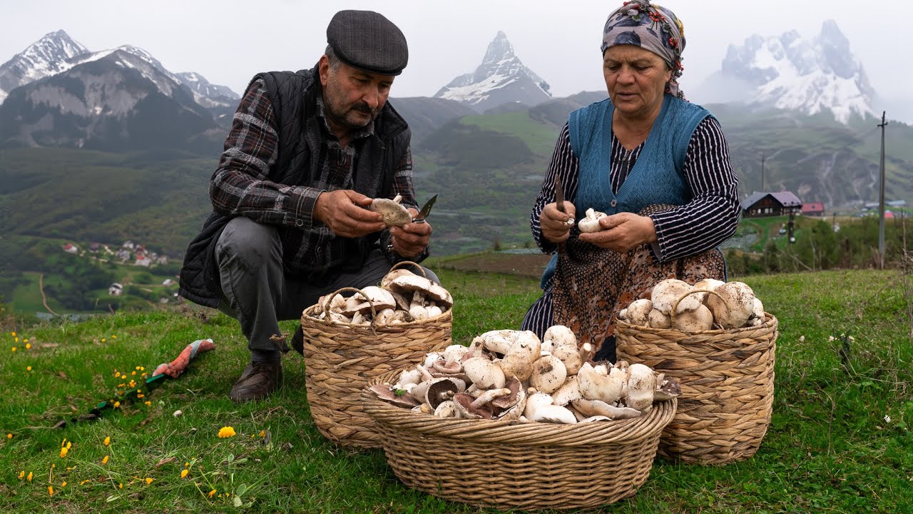 ⁣From the Mountain 🏔️ to the Table 🍽️: Mushroom 🍄 Season in the Mountains of Shahdag