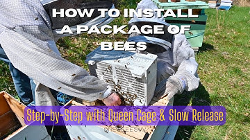 How to Install a Package of Bees | Step-by-Step with Queen Cage & Slow Release