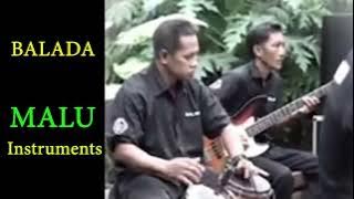 MALU Elvy sukaesih Instruments