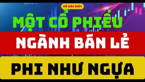 Phân tích cổ phiếu:  Một Cổ Phiếu Ngành Bán Lẻ Phi Như Ngựa  I Bảo ITP