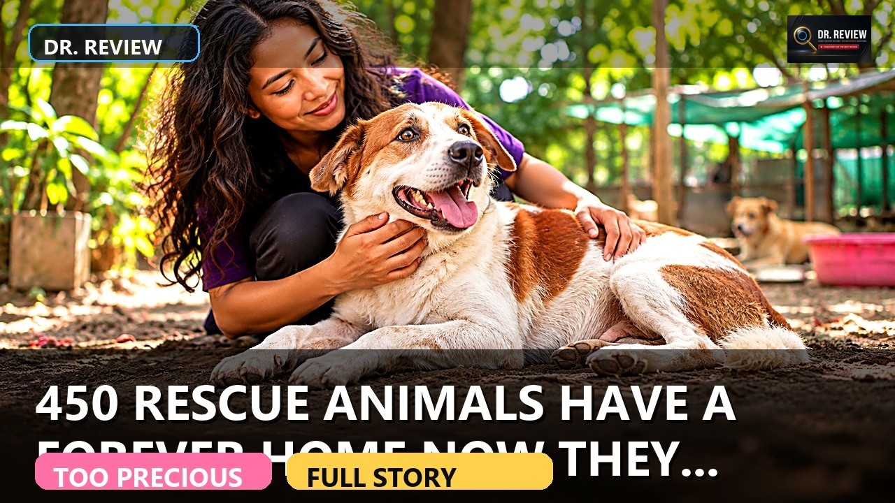 450 Rescue Animals Have a Forever Home. Now They Deserve Something Even ...