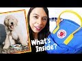 Must Have "Puppy Essentials!!!" // Dog Haul!