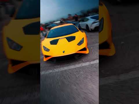 Habibi come to Dubai #dubai #travel #shorts #shortsfeed #viral #viralvideos #trending #life #fly