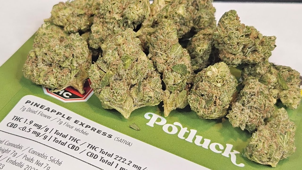 Strain Review Pineapple Express By Potluck YouTube